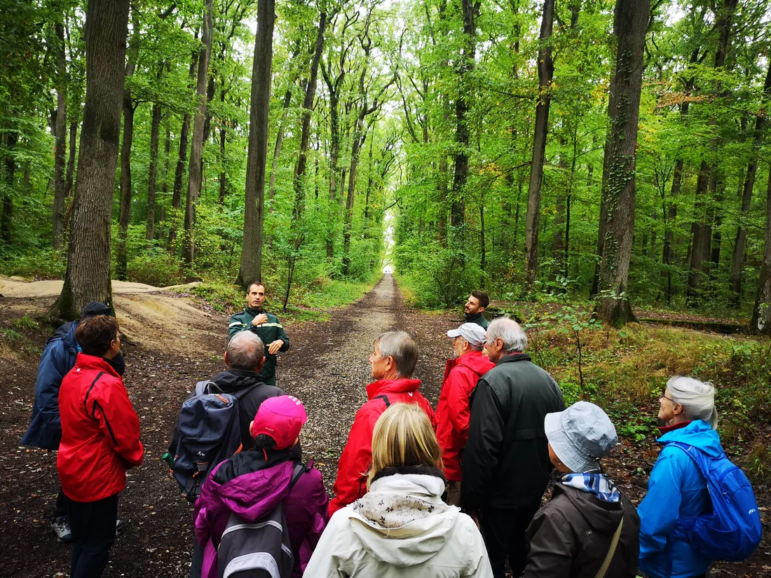 A la découverte des fragilités de nos forêts avec les agents de l'ONF.