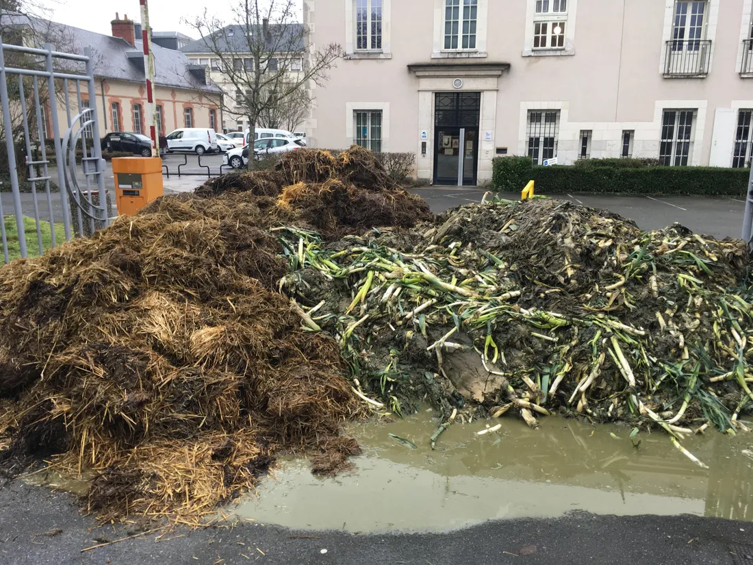 Lisier devant la cité administrative de Blois