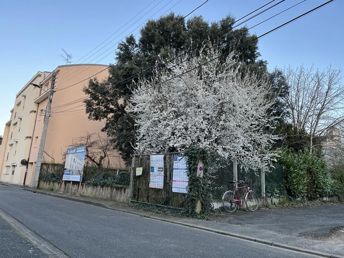 Projet d'immeuble dans la rue de la Calandre