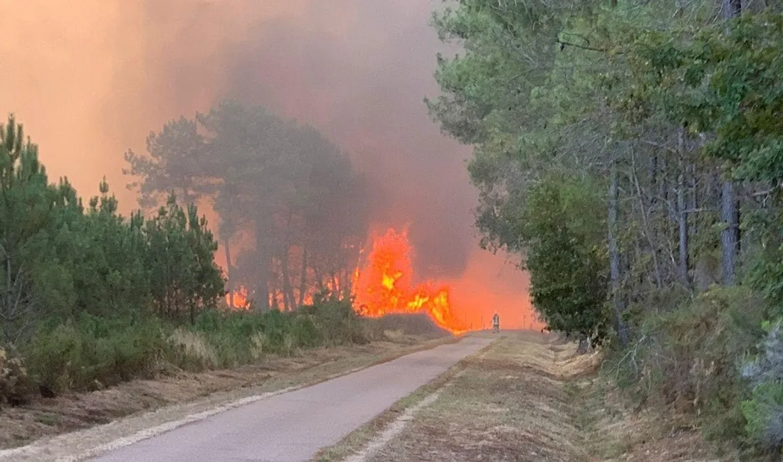 Feu de forêt à Arès