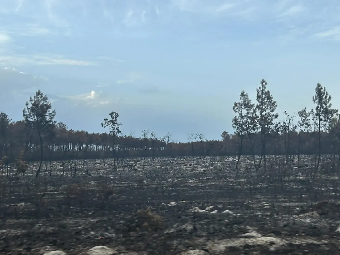 Après les incendies, en direction de Lège