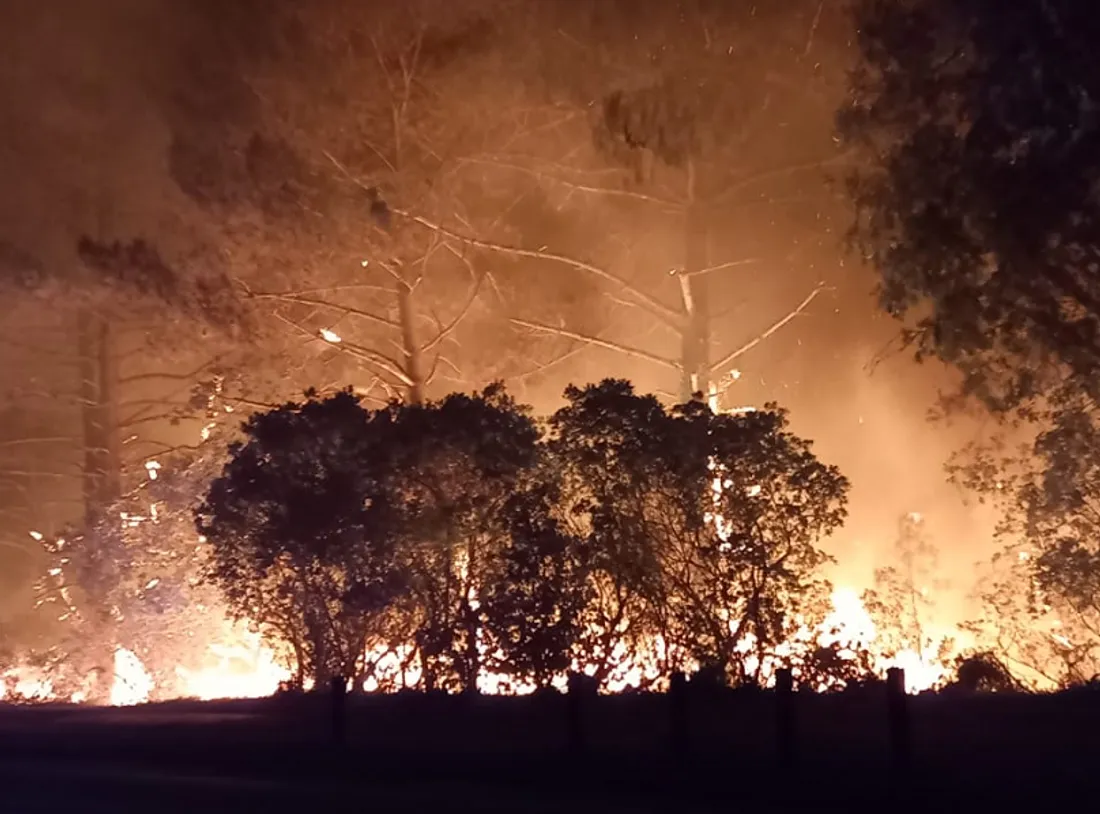 D'effroyables scènes en Gironde