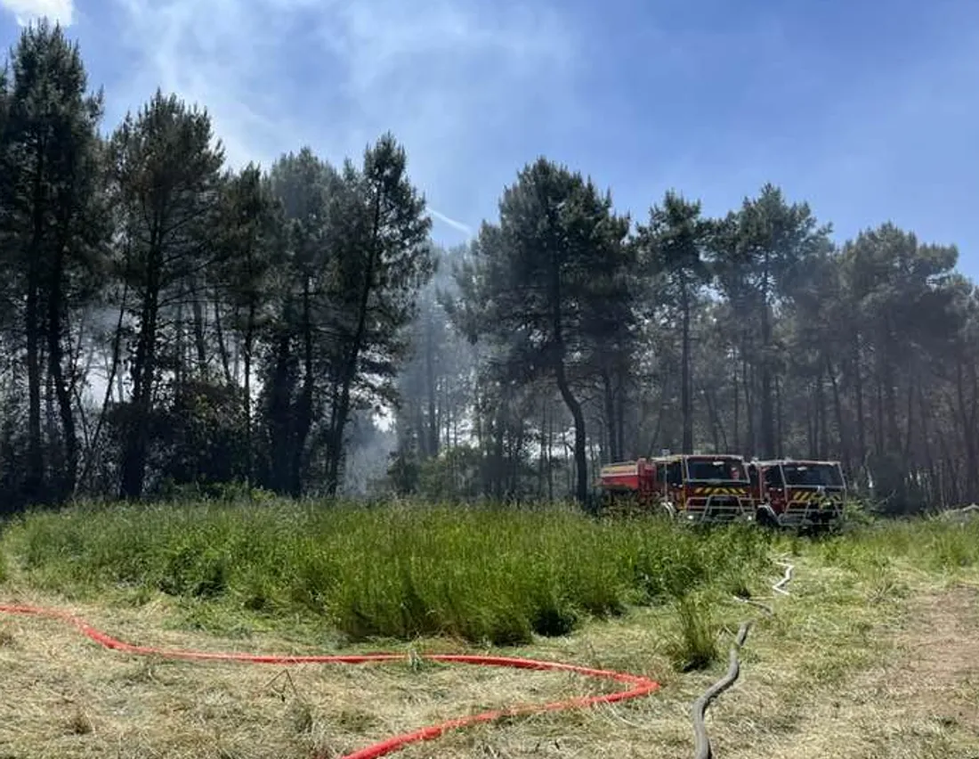 Feu de forêt à Marigné-Laillé le 19 mai