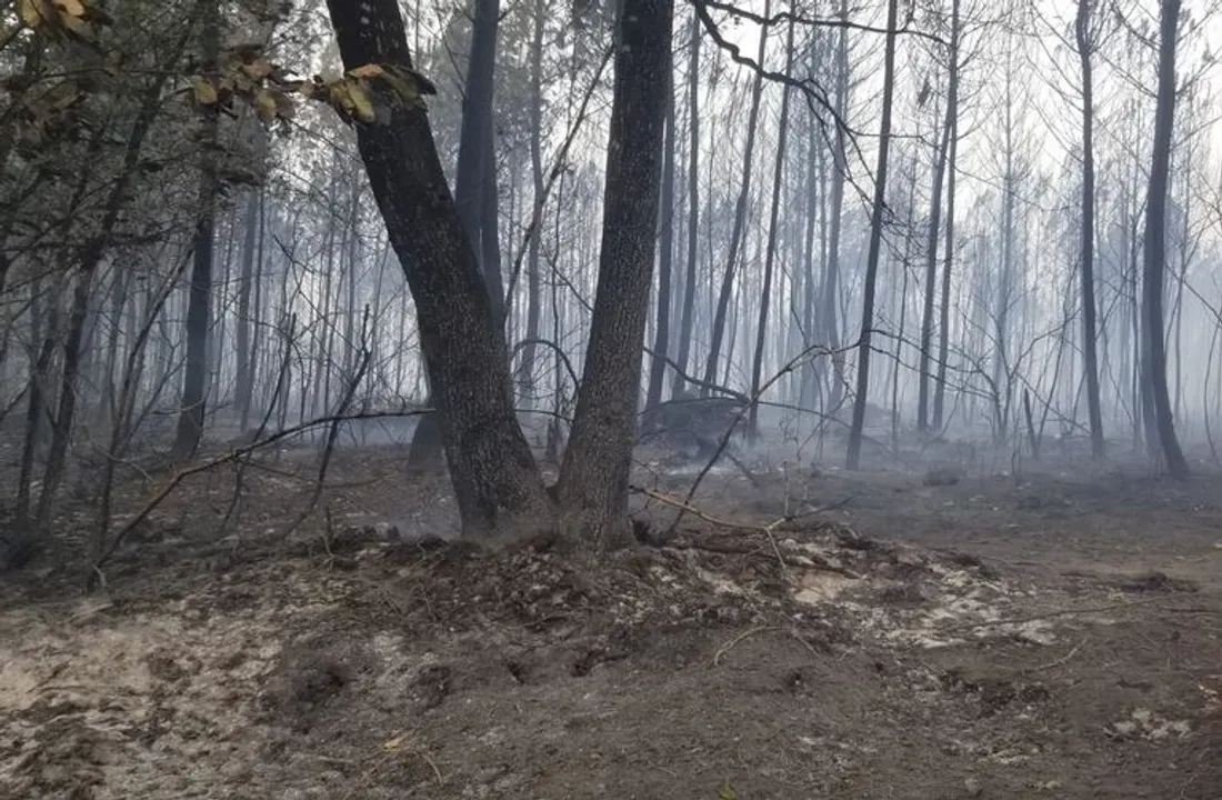 Le feu a sévi dans le secteur de Saumos