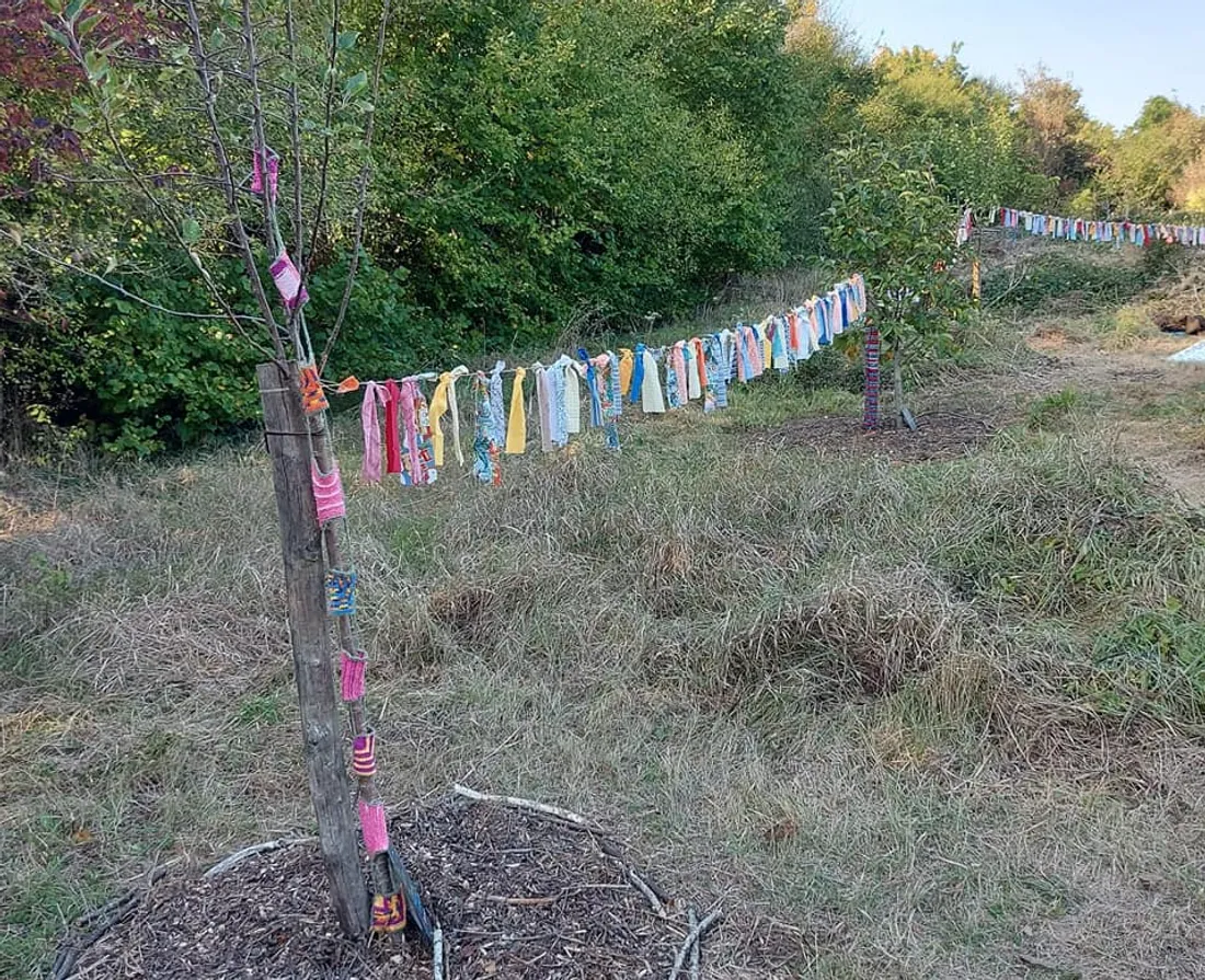 Jardin partagé de la Tavannerie