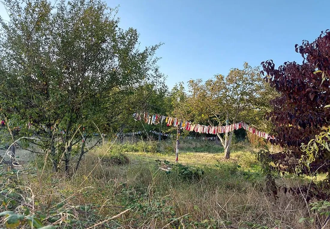 Jardin partagé de la Tavannerie