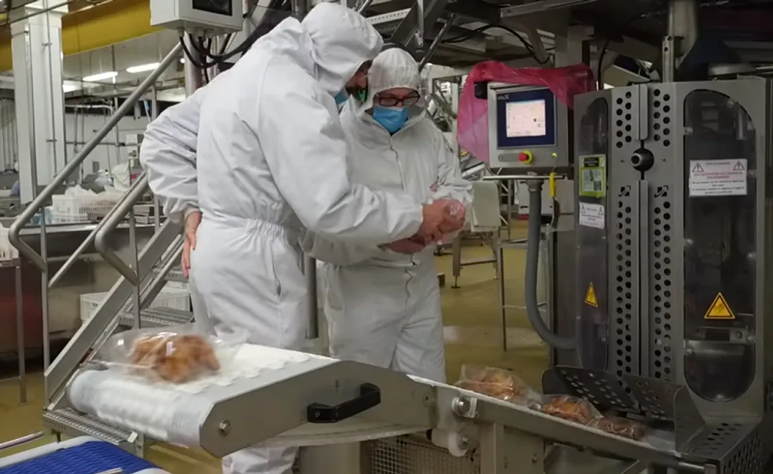 Chaîne de production chez LDC