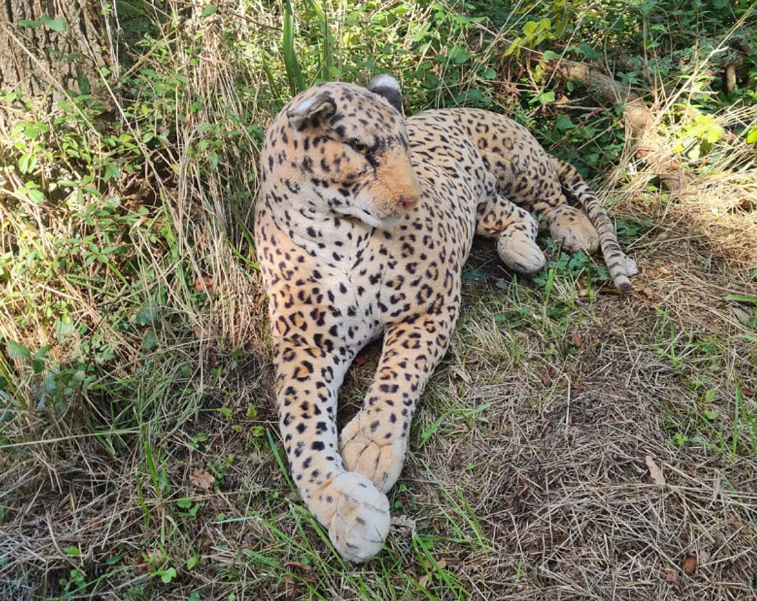 Plus vrai que nature, non ?