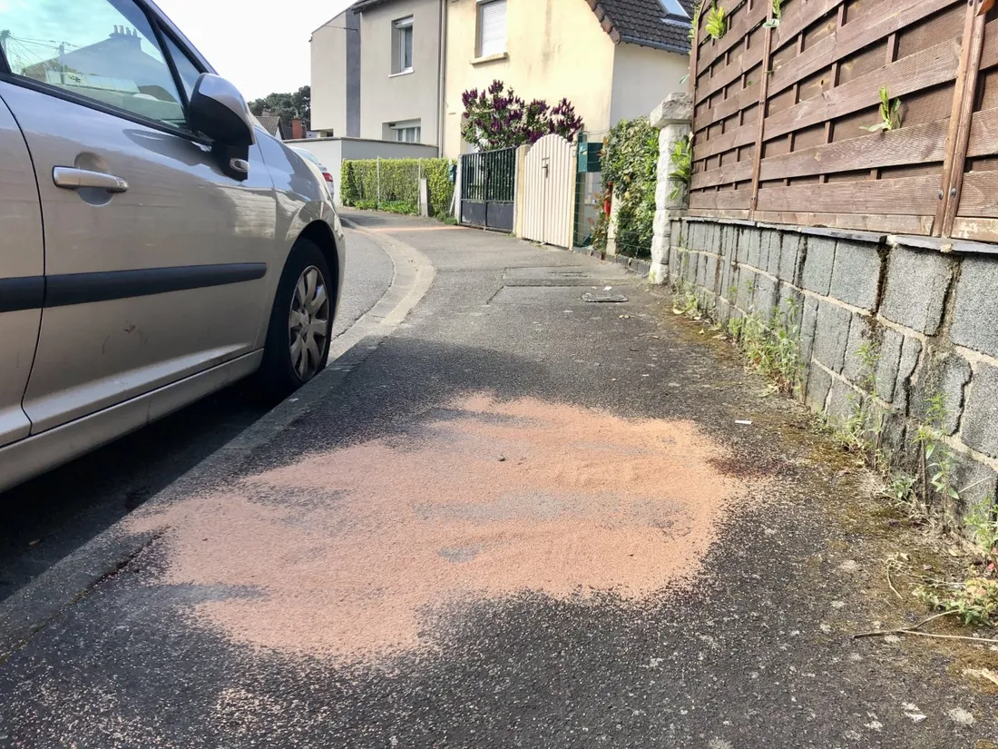 Deux corps retrouvés au Mans