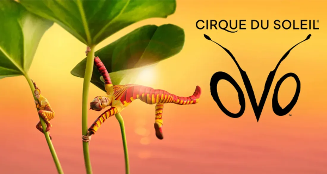 Gagnez deux places pour la représentation du Cirque du Soleil à Rouen le 8 octobre prochain