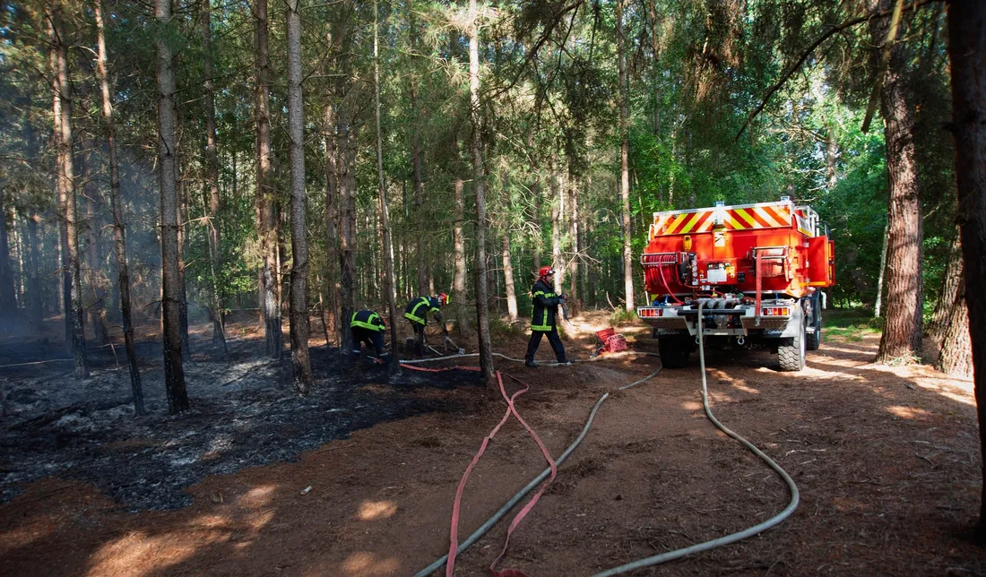 Des incendies ont détruit plusieurs hectares de végétation ce jeudi 19 juin 2025 en Sarthe.