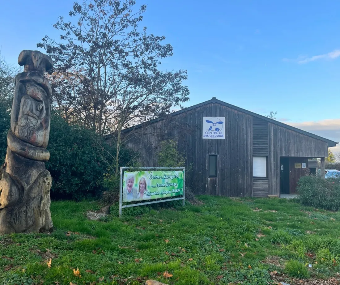 A Saint-Fort, le Centre de sauvegarde de la faune sauvage