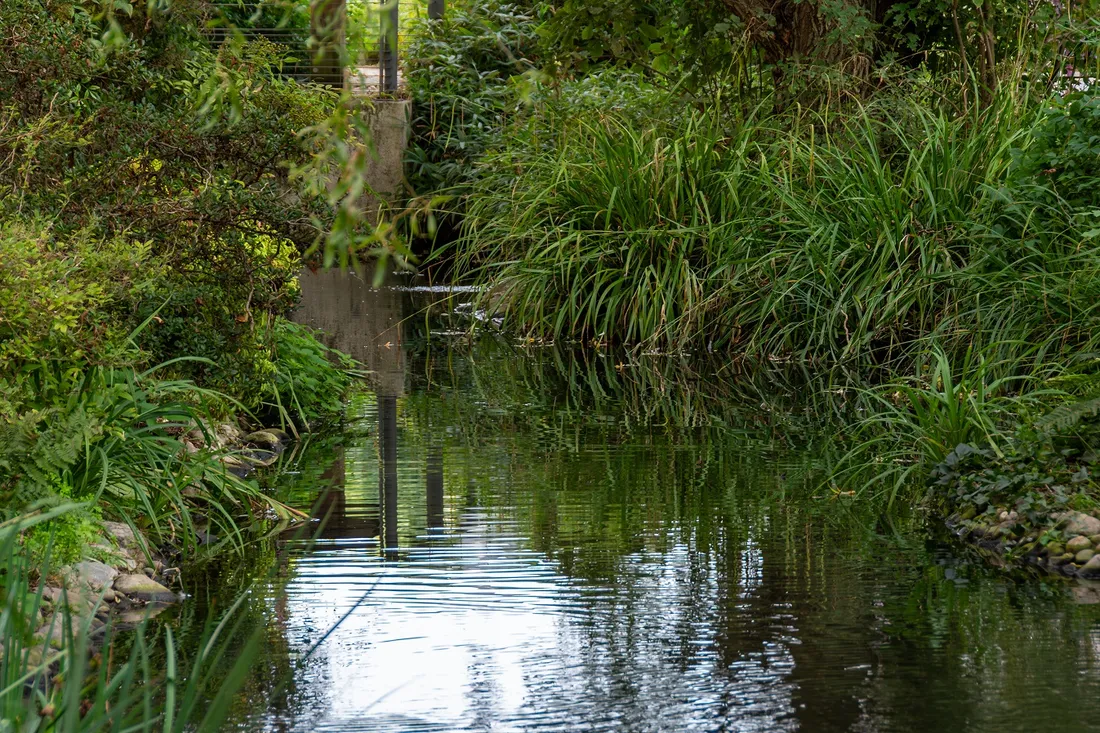 Le niveau des nappes phréatiques en hausse dans l’ouest