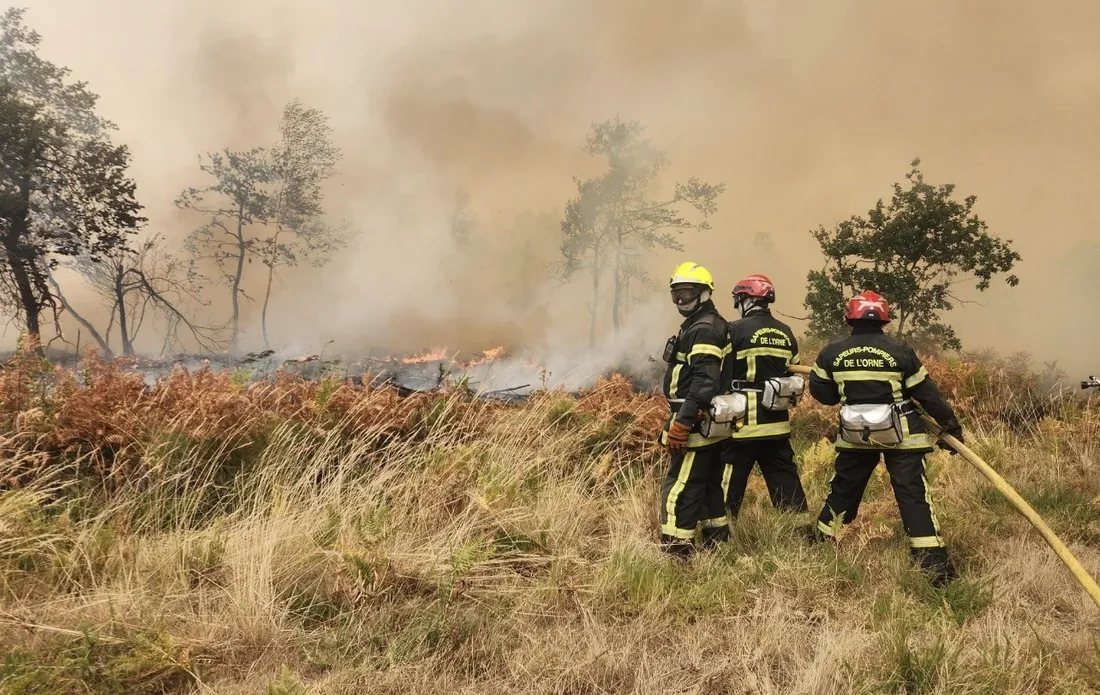 Incendies de l'été 2026 : mobilisation inédite des pompiers de l'Orne