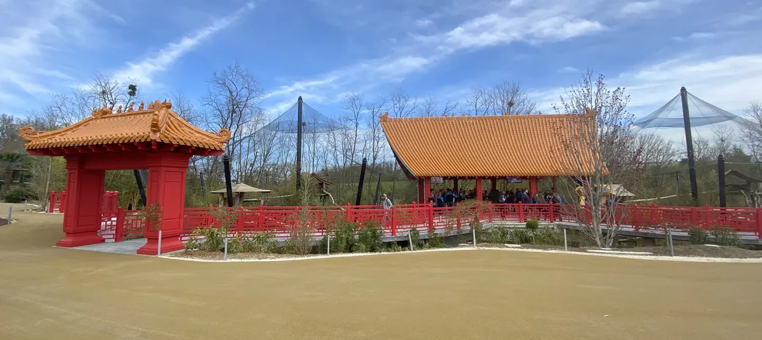 Le nouvel espace de vie des singes dorés, tout près des pandas géants...