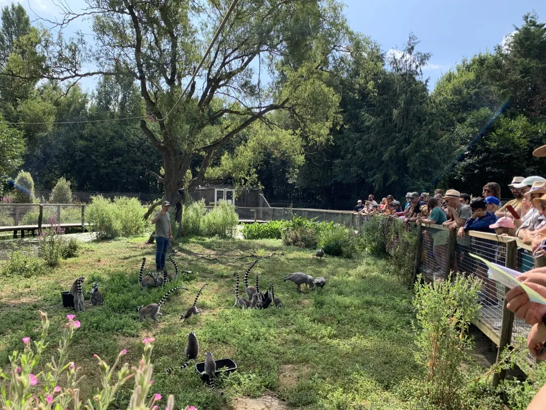 DÉCOUVRIR LA BIODIVERSITÉ POUR MIEUX LA PROTÉGER AU SPAYCIFIC'ZOO