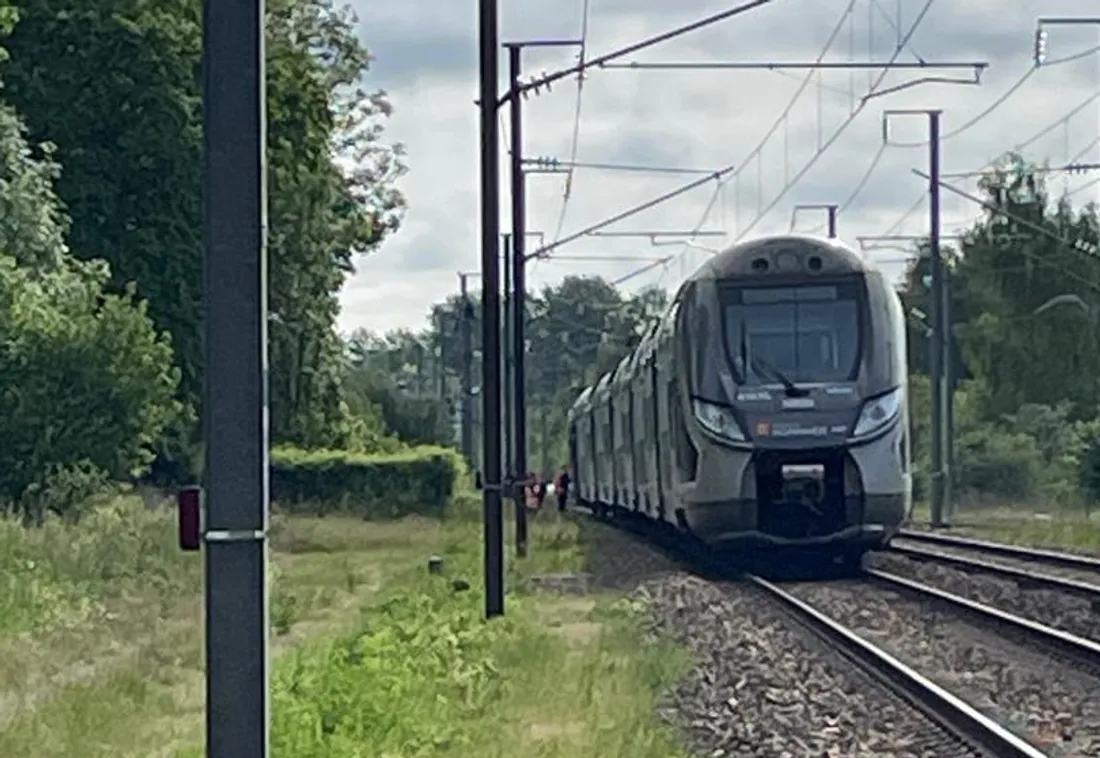 Train à hauteur de Mézidon-Canon