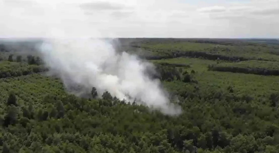 Incendie forêt de Bord