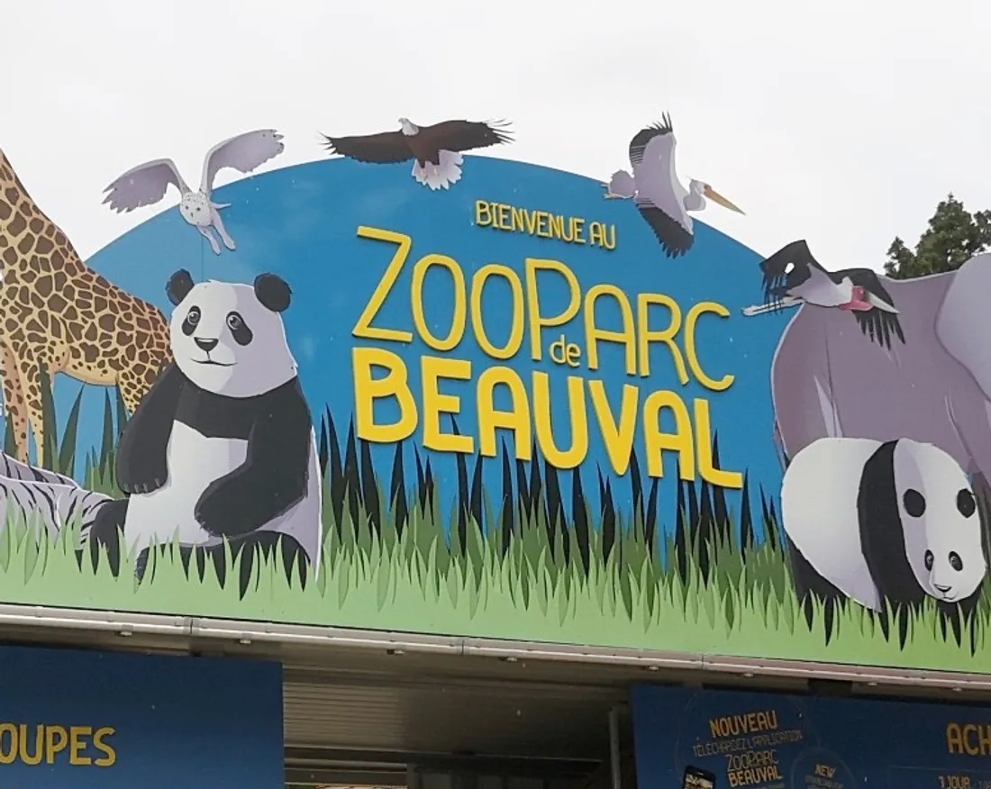 Beauval
