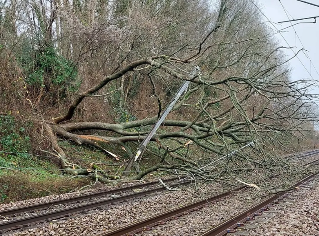 Tempête