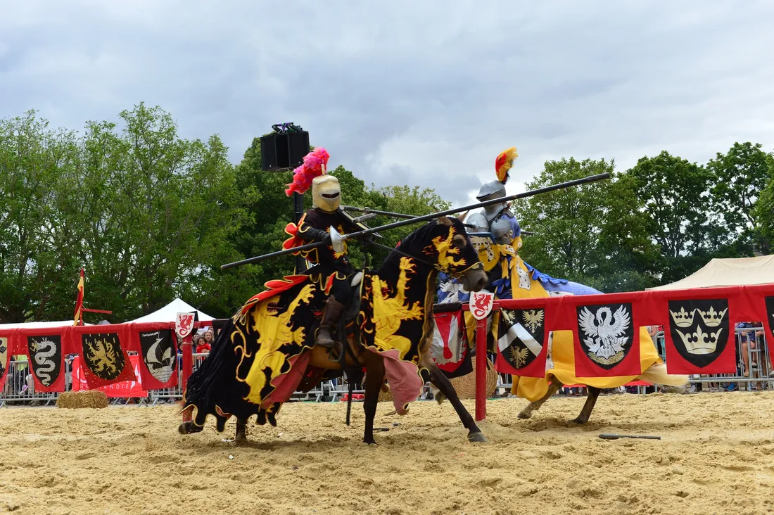 Les visiteurs ont pu participer à des spectacles de joutes