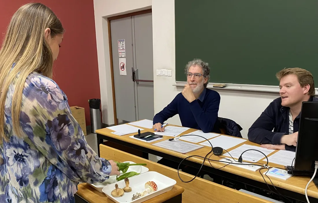 Université Caen examen mycologie