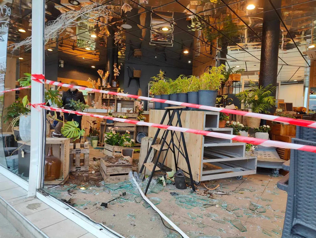 Rose et sens dégâts