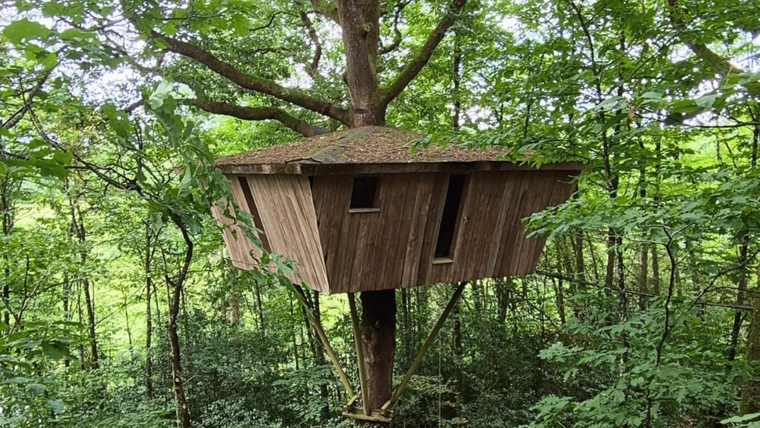 Gagnez votre séjour insolite au cœur de la forêt !