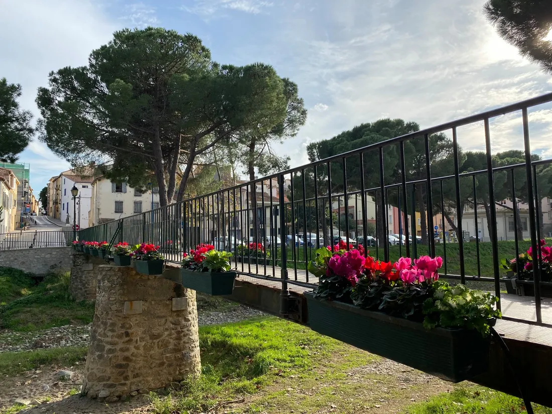 Argelès-sur-Mer : lancement d'un service de livraison à domicile