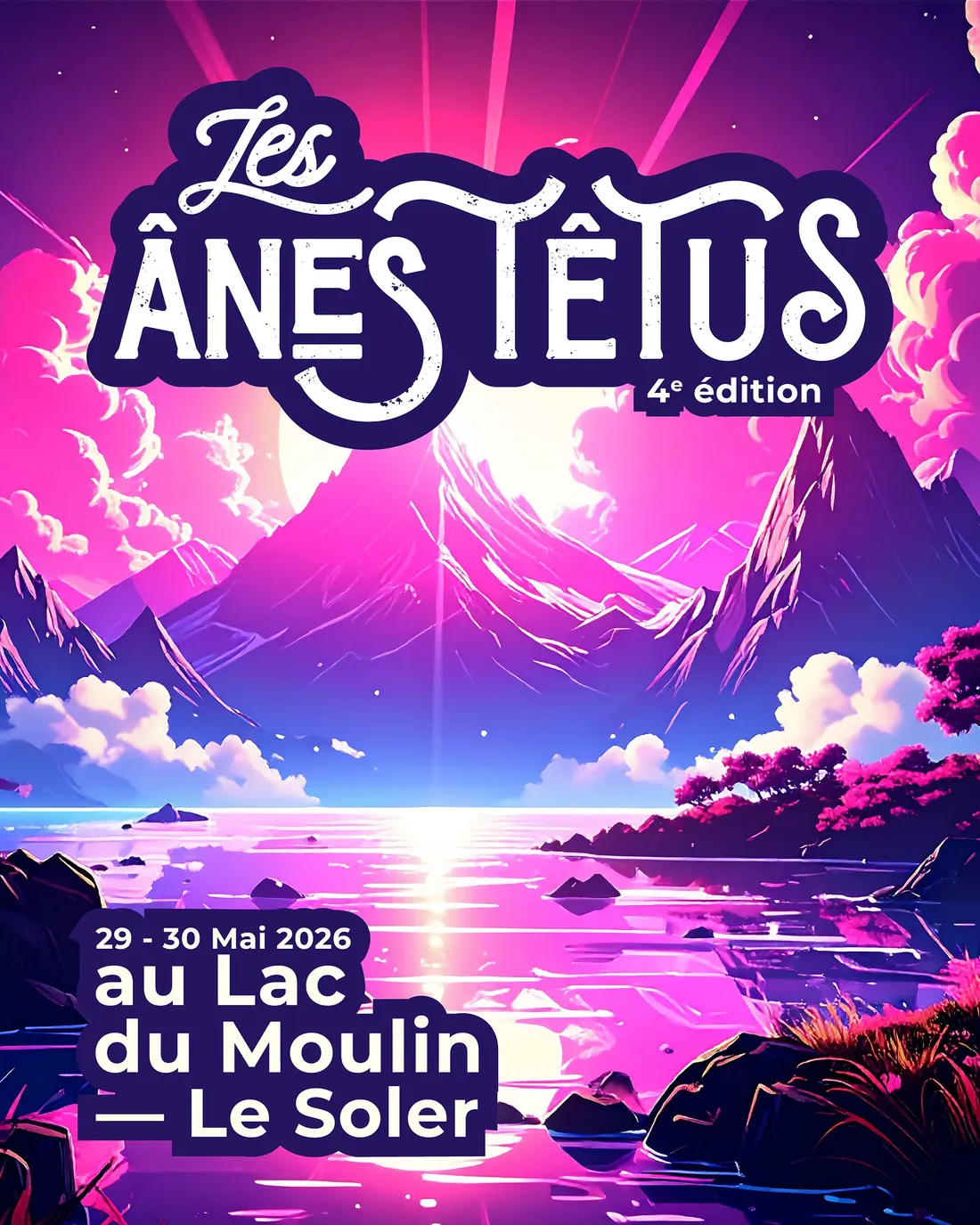 affiche anes tetus