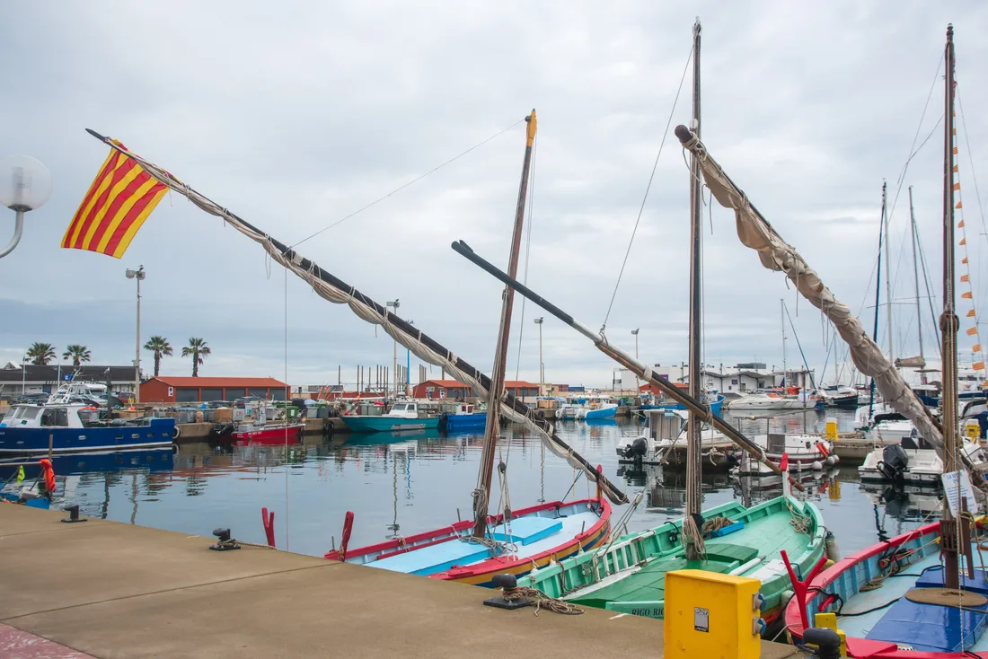 Barques catalanes dans un Port