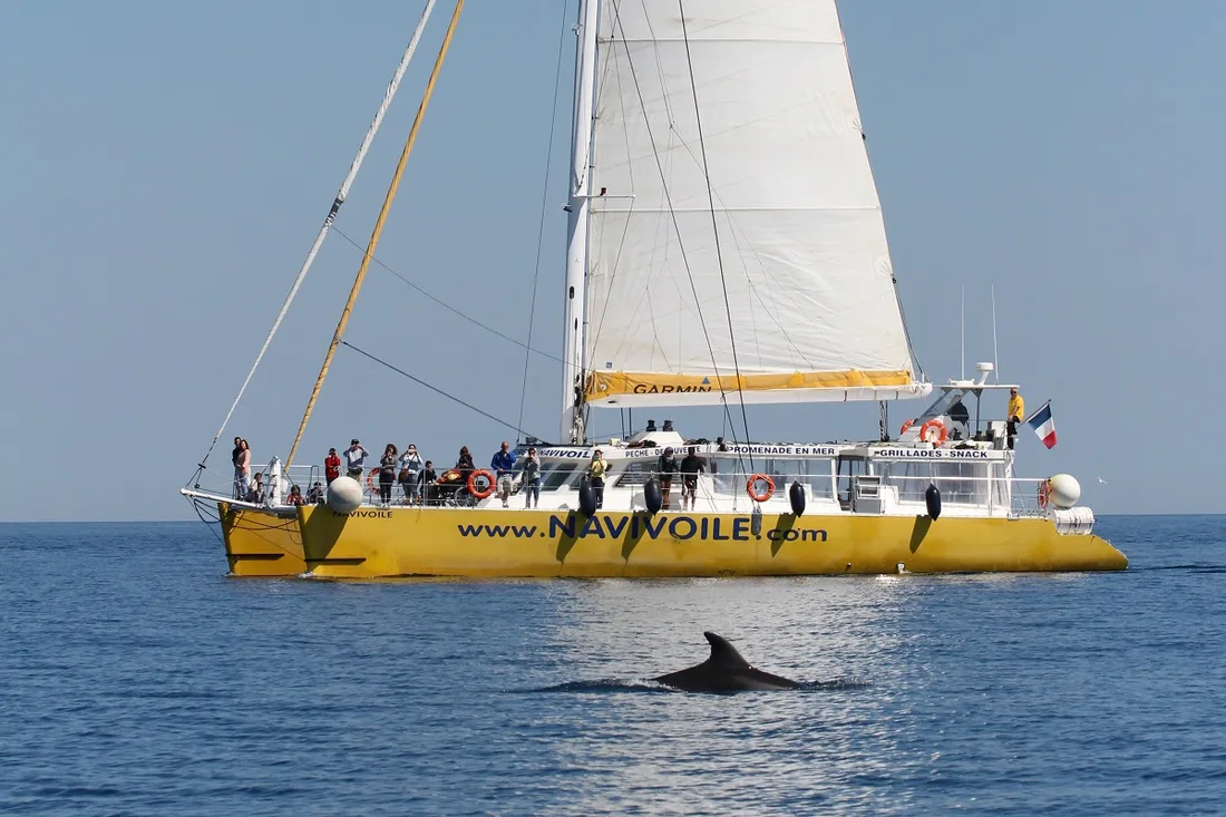 Croisière Navivoile