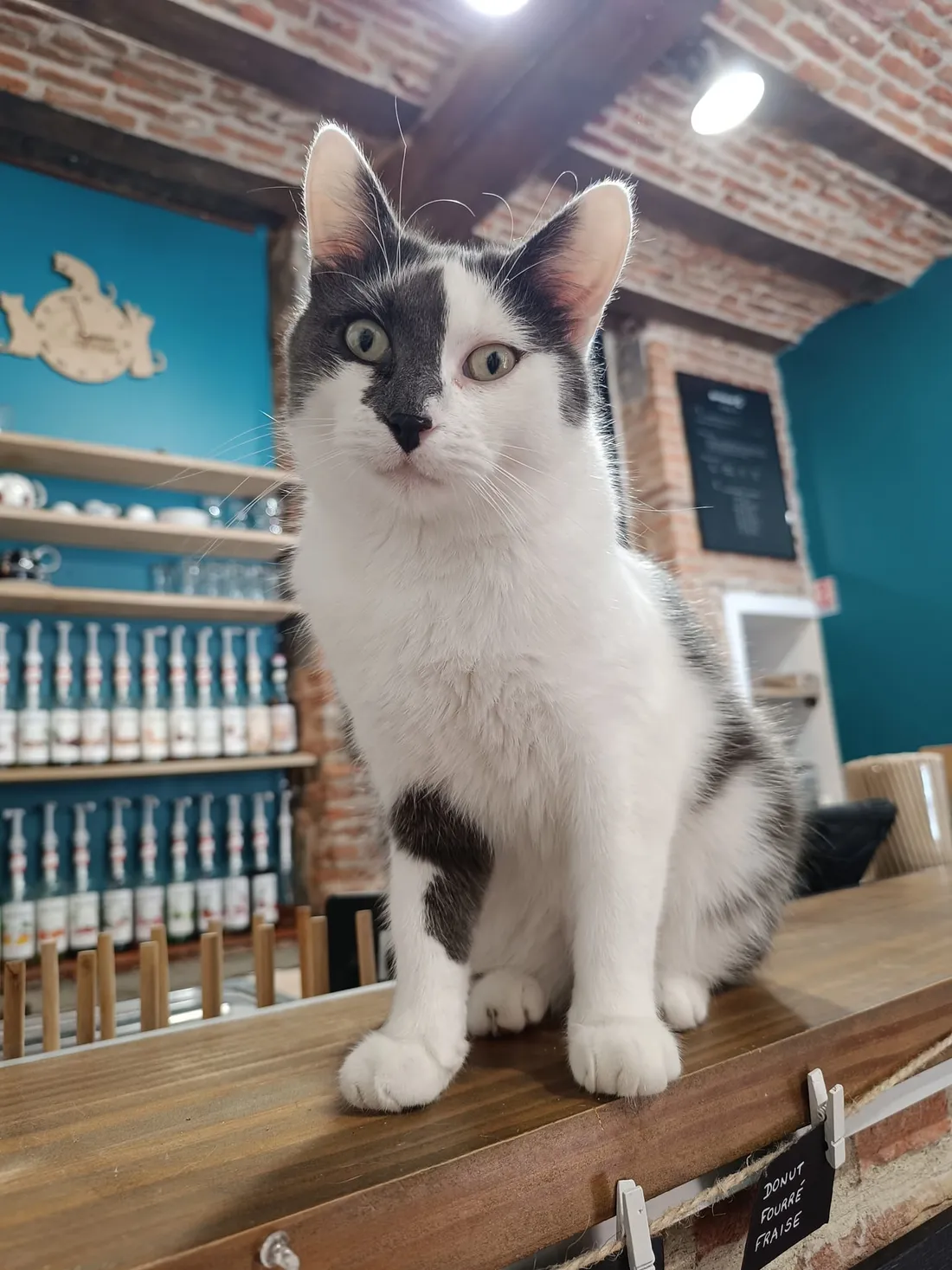 La réouverture du Cafélin aura lieu ce vendredi à partir de 10h.