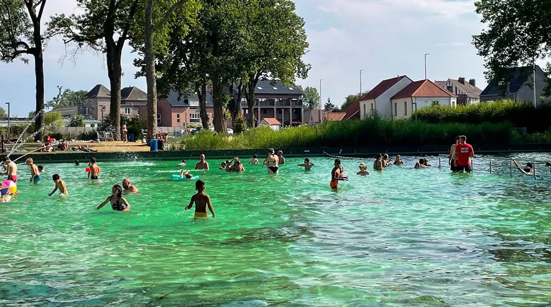 piscine écolo