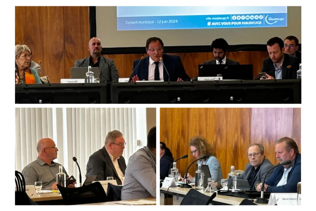 Arnaud Decagny Opposition