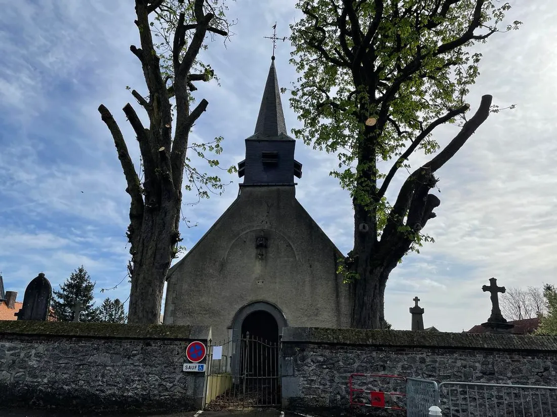 Wattignies La Victoire marronniers élagués