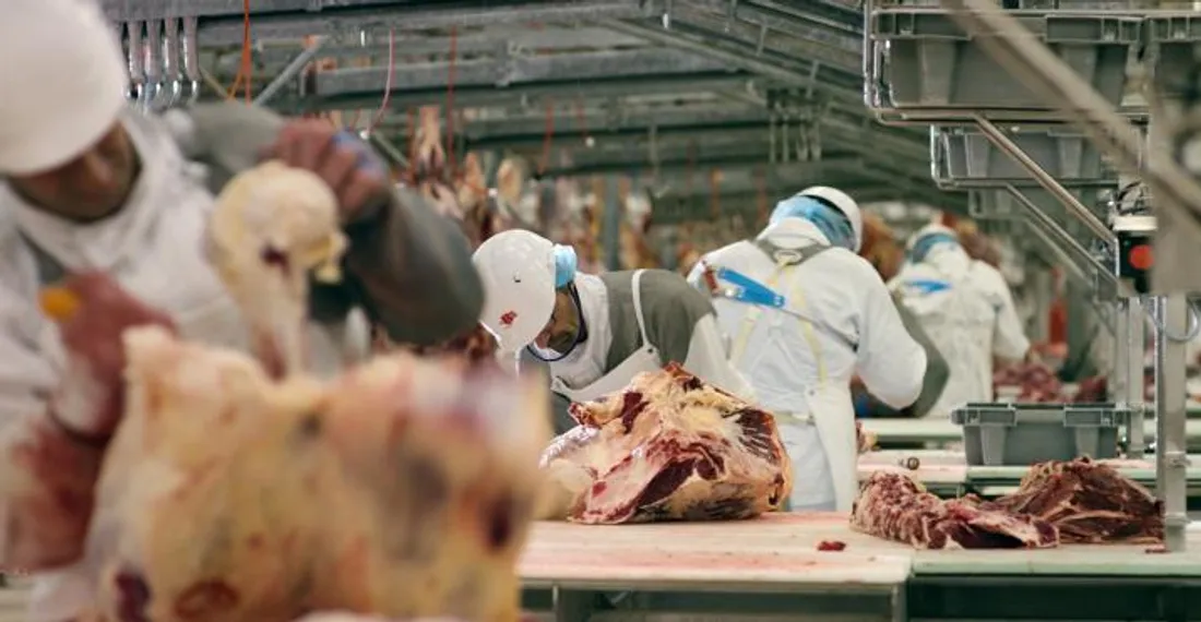 Bigard Feignies Recrute