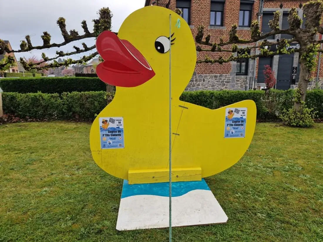 Course des petits canards