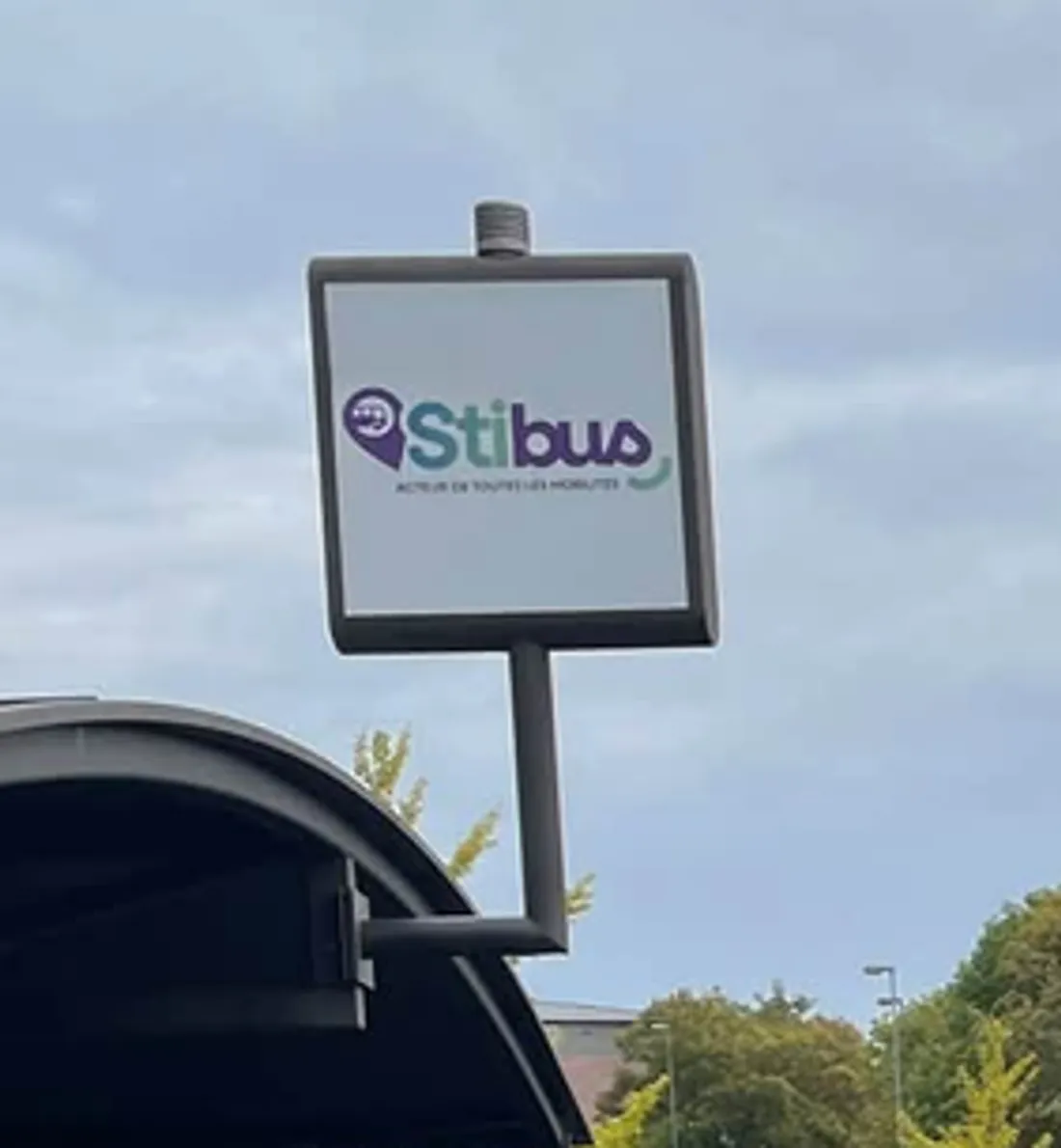 Stibus