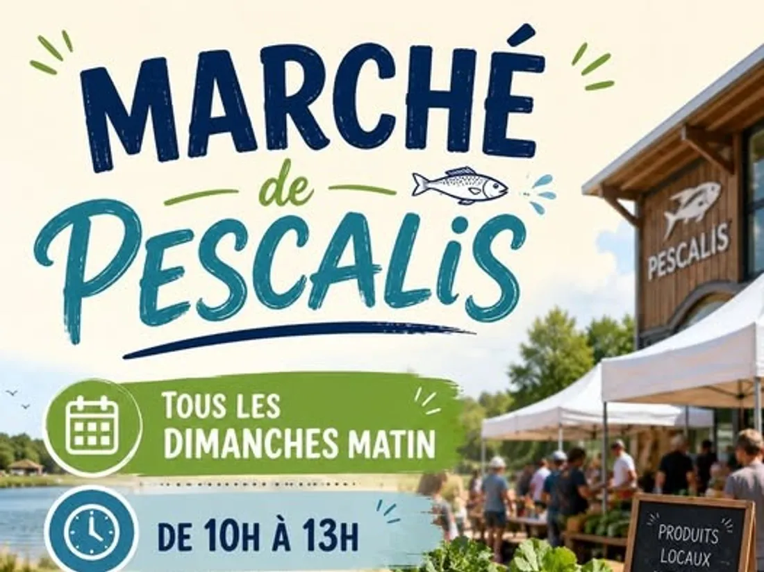 jeu panier pescalis 2026