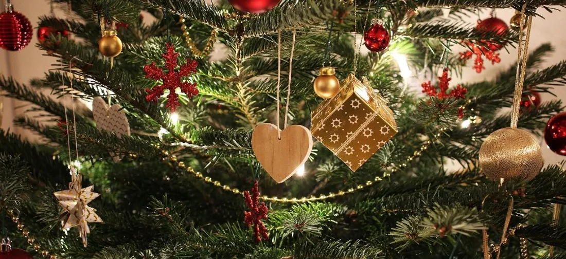 Sapin de Noël - Photo d'illustration