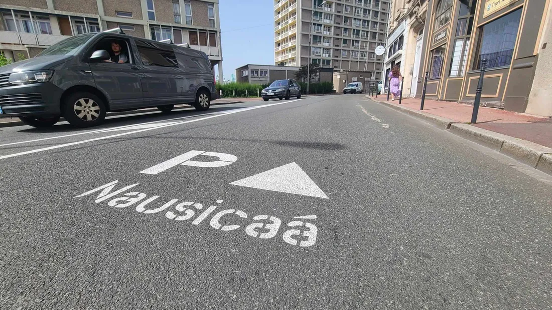 circulation nausicaa