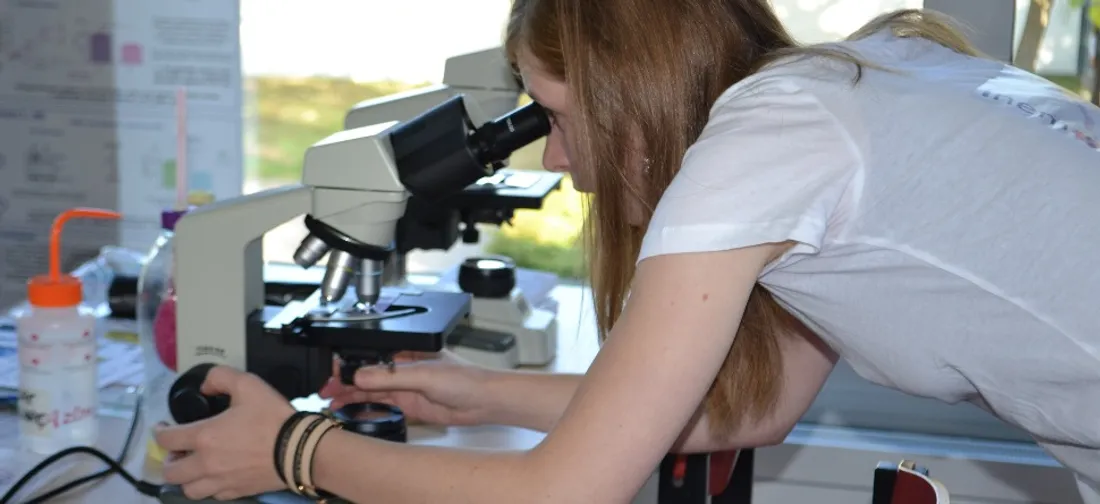 Les IG-Nobel mettent en valeur des découvertes internationales dans des catégories variées