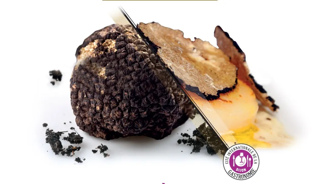 La truffe de Bourgogne sera à l'honneur
