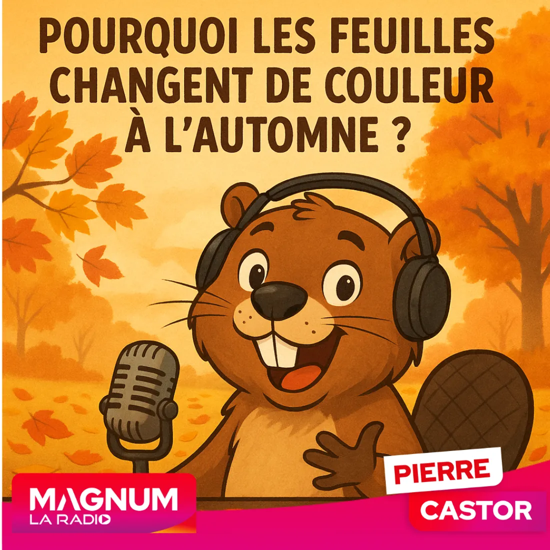 MAGNUM LA RADIO
