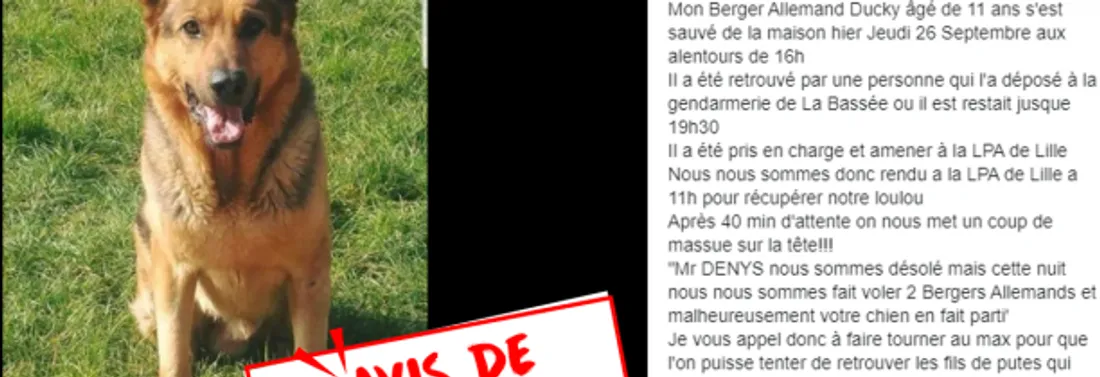 MONA FM