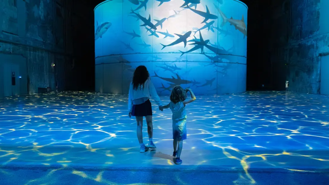 GAGNEZ VOS ENTRÉES POUR L'EXPO OCEAN AUX BASSINS DES LUMIÈRES
