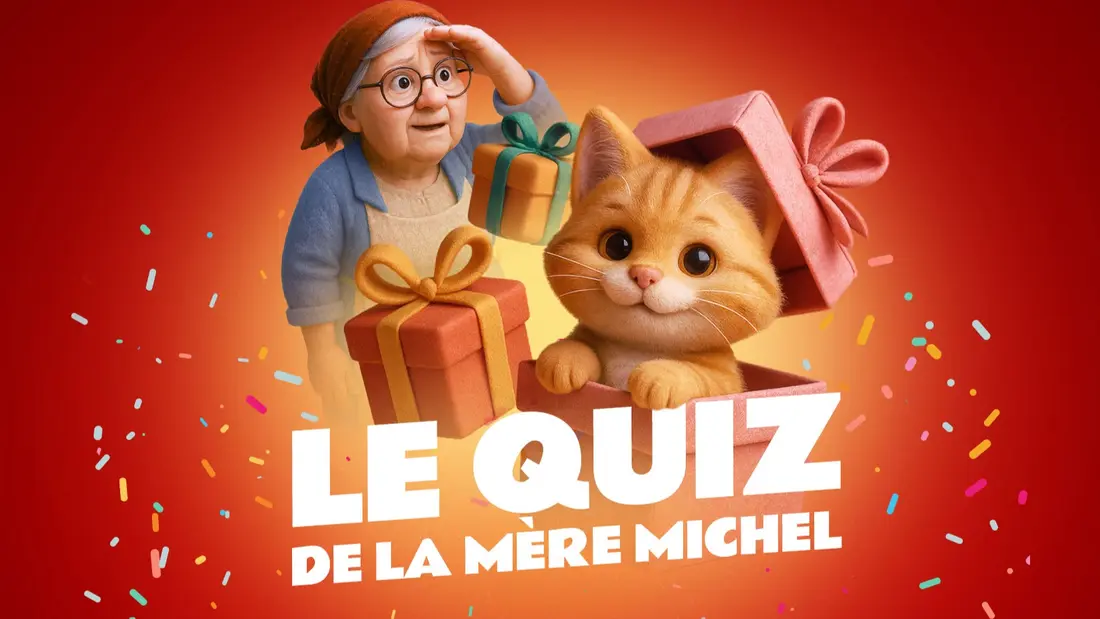 LE QUIZ DE LA MÈRE MICHEL