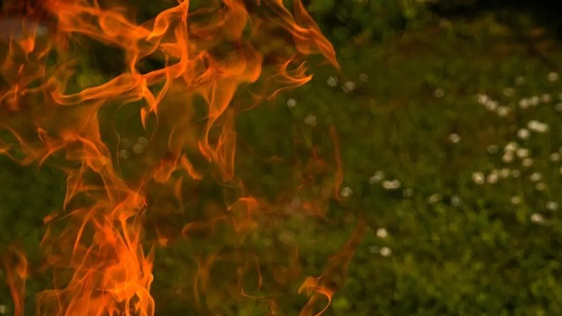 Vigilance "rouge" ce jeudi pour les risques de feux de forêt en...