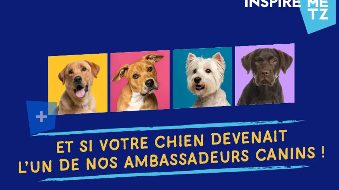 L'Euro-Métropole de Metz recherche ses ambassadeurs canins !